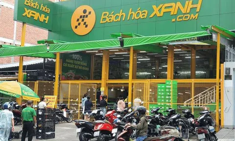Bách Hoá Xanh kỳ vọng lãi tối thiểu 1.200 tỷ năm nay