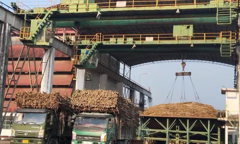 Hai doanh nghiệp bị UBCKNN xử phạt vì không công bố thông tin