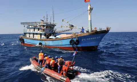 Hai năm, TP.HCM xử lý 830 tàu cá khai thác thủy sản bất hợp pháp