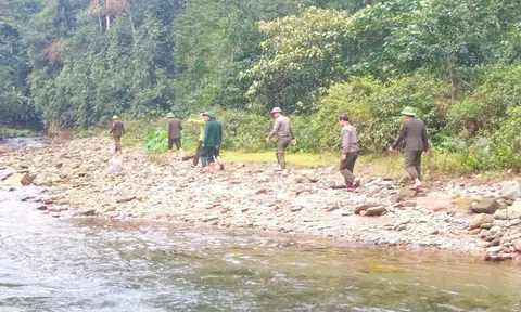 Thầm lặng những bước chân giữ rừng ngày giáp Tết