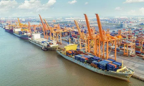 Chính thức thành lập Khu kinh tế chuyên biệt Hải Phòng 5.300ha