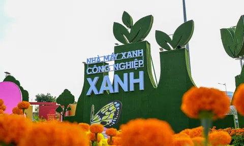 Đường hoa xuân Đồng Tháp tạo dấu ấn mạnh mẽ về thông điệp xanh