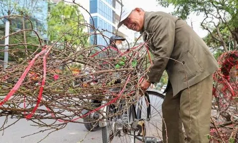 Dự báo thời tiết 29 Tết