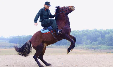 Đầu năm ngựa, 'xông đất' Đoàn Cảnh sát cơ động kỵ binh