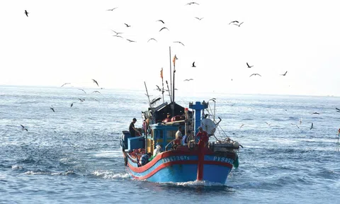 Ngàn năm trước biển