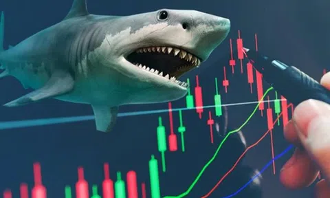 Khối quỹ ngoại cơ cấu danh mục ra sao trước kỳ nghỉ Tết?