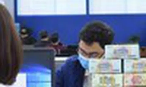 “Đọc vị” dòng tiền và xây dựng danh mục đầu tư cho năm 2026