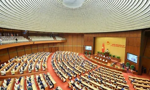 7 nữ ứng viên thuộc thế hệ 2000 ứng cử Đại biểu Quốc hội khóa XVI