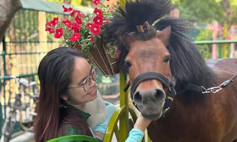 TP.HCM vắng dịp Tết, Thảo cầm viên Sài Gòn vẫn thắng lớn