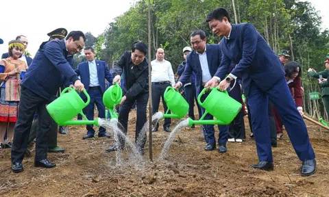 Chủ tịch nước dự lễ phát động Tết trồng cây năm 2026 tại Lào Cai