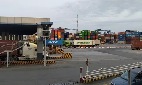 Chủ động thích ứng với chính sách thuế mới