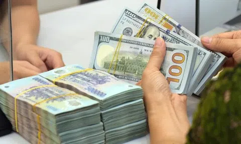 Sau Tết: Giá đô la, lãi suất qua đêm liên ngân hàng cùng tăng mạnh