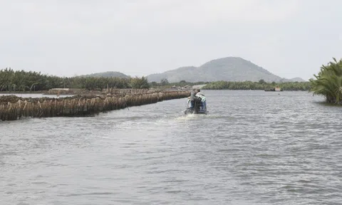 Quyết định cưỡng chế khắc phục hậu quả đối với người bao chiếm đầm Đông Hồ