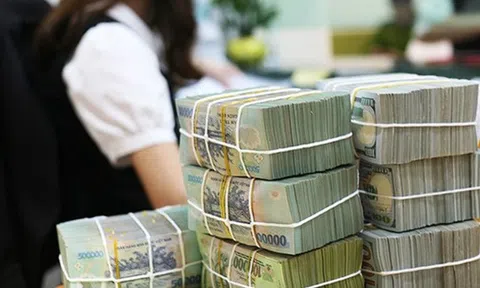 Bao nhiêu người dân Việt Nam có tiết kiệm gửi tại ngân hàng?