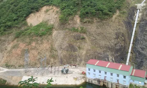 Doanh nghiệp của Chủ tịch Trương Đình Lam báo lãi ròng giảm sâu trong năm 2025