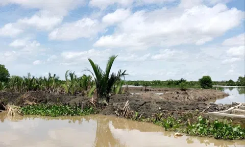 Danh tính hai người đàn ông chiếm gần 29 ha đất công