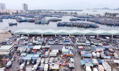 Cảng cá lớn nhất miền Trung sẽ thành cảng du lịch