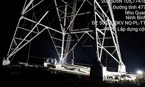 Thi công các dự án truyền tải điện ngay sau kỳ nghỉ Tết