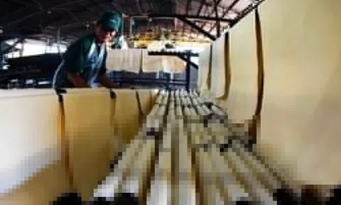 Nhiều tồn tại, vi phạm trong quản trị tại Tập đoàn Cao su Việt Nam