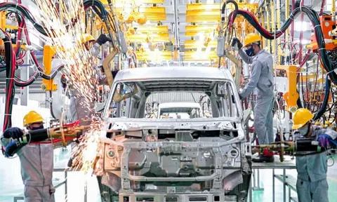 Kịch bản nào cho dàn xe mới mang thương hiệu Việt của Thaco?