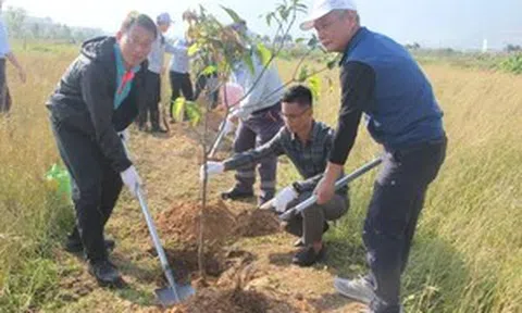 Formosa Hà Tĩnh phát động trồng cây đầu Xuân