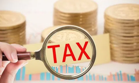 Thuế TP.HCM cảnh báo nóng đối với các hành vi gian lận về thuế, hóa đơn