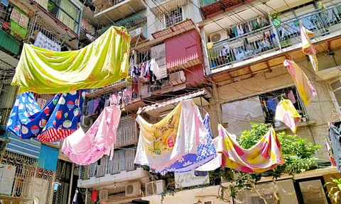 Khu tập thể cũ Hà Nội - giấc mơ thời nghèo khó - Kỳ cuối: 'Dẫu lìa ngó ý còn vương tơ lòng'