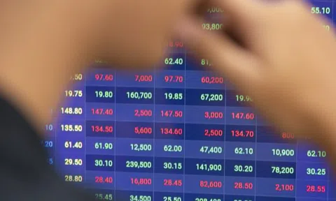 Chứng khoán Việt Nam lội ngược dòng