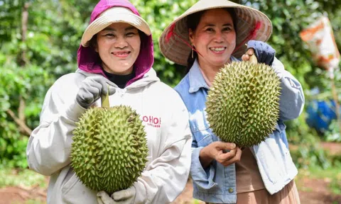 Xuất khẩu rau quả đầu năm bùng nổ, sầu riêng tăng trưởng 3 con số