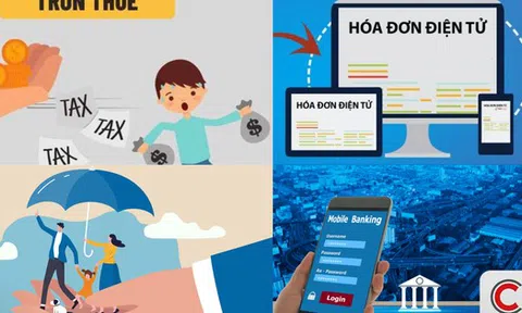Cảnh báo loạt lỗi hộ kinh doanh, cá nhân kinh doanh thường mắc về đăng ký thuế, khai thuế và hóa đơn