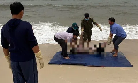 Tìm thấy thi thể du khách mất tích ở bãi biển Nhật Lệ