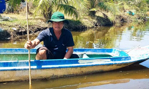 Mặn lấn sâu nội đồng, người dân nuôi tôm cua vùng ven biển An Giang ‘quay cuồng’ lo lắng