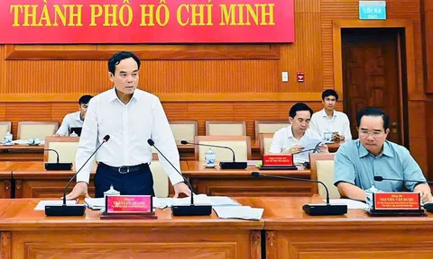 TP.HCM họp trực tuyến với 168 phường, xã, đặc khu về công tác chuẩn bị bầu cử