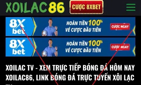Vụ Xôi Lạc TV: Nhiều nhân viên có trình độ đại học, thạc sĩ, rất giỏi công nghệ