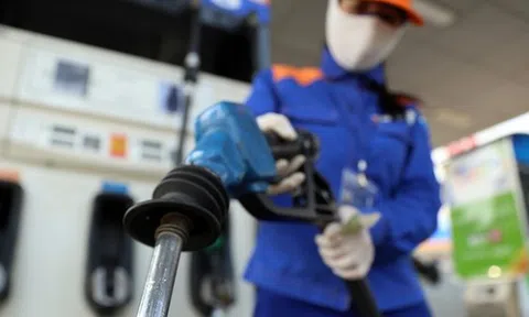 Xử lý nghiêm hành vi gian lận trong kinh doanh xăng dầu và khí LPG