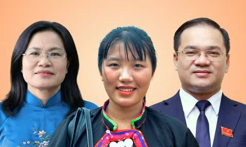 Cam kết của ứng viên đại biểu Quốc hội