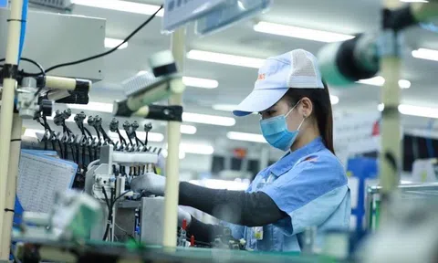 65,4 nghìn doanh nghiệp thành lập mới và quay trở lại hoạt động