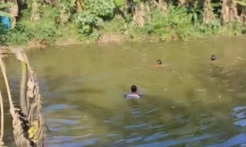 Theo cha mẹ lên rẫy, bé 9 tuổi đuối nước tử vong