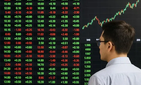 VN-Index bay hơn 110 điểm, nhà đầu tư cần làm gì để bảo vệ tài khoản?