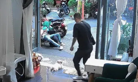 Người đàn ông đá chó cảnh ở tiệm spa gây bức xúc