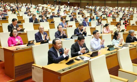 Kỳ vọng đại biểu làm việc nhanh hơn, quyết liệt hơn