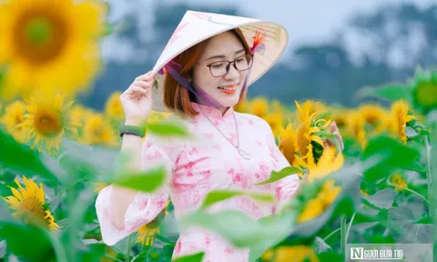 Mê mẩn vườn hoa hướng dương trên quê hương Bác Hồ 'hút' giới trẻ check-in