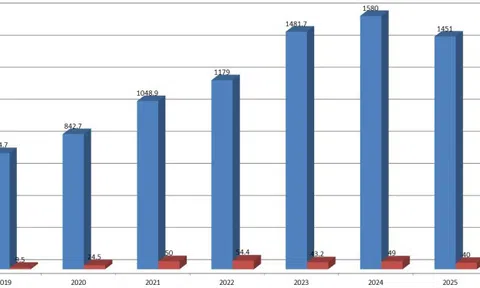 Dược liệu Việt Nam (DVM): Doanh thu nghìn tỷ, lãi mỏng như 'lá lúa' và gánh nặng 'nuôi' ngân hàng