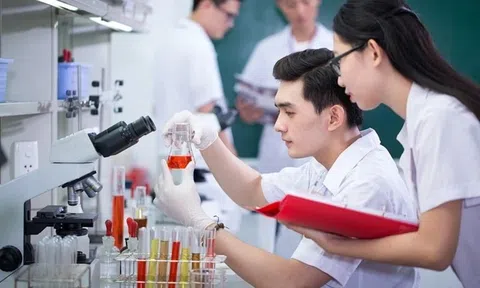 Hà Nội triển khai chính sách thu hút người tài, hỗ trợ đến 1.000 lần mức lương cơ sở