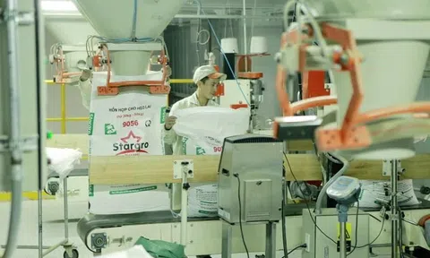 Doanh nghiệp sản xuất trước áp lực xăng dầu, tỷ giá bật tăng