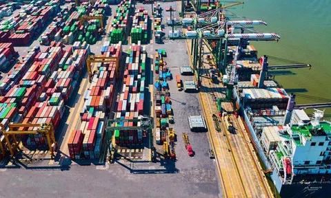 Công ty con của Viconship lên kế hoạch lợi nhuận 'đi lùi', niêm yết cổ phiếu trên HoSE