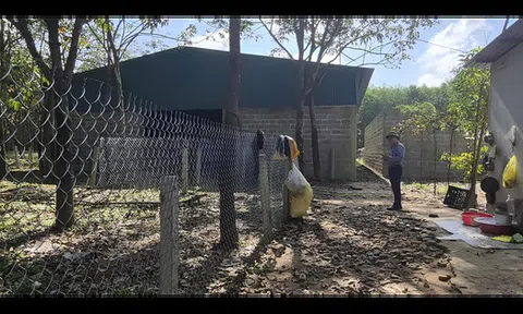 Đường sắt tốc độ cao Bắc - Nam vướng loạt công trình trái phép