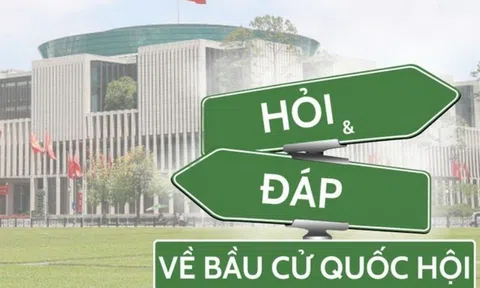 Tổng số Đại biểu Quốc hội khóa XVI được bầu là bao nhiêu người?