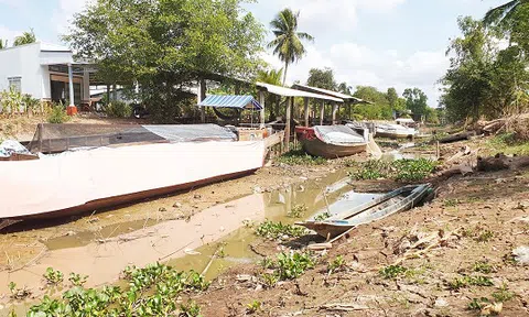 Dự báo hạn hán, xâm nhập mặn ở Nam Bộ từ nay đến cuối mùa khô