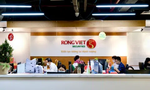 Thực phẩm Đông lạnh Kido tiếp tục tăng sở hữu tại Chứng khoán Rồng Việt